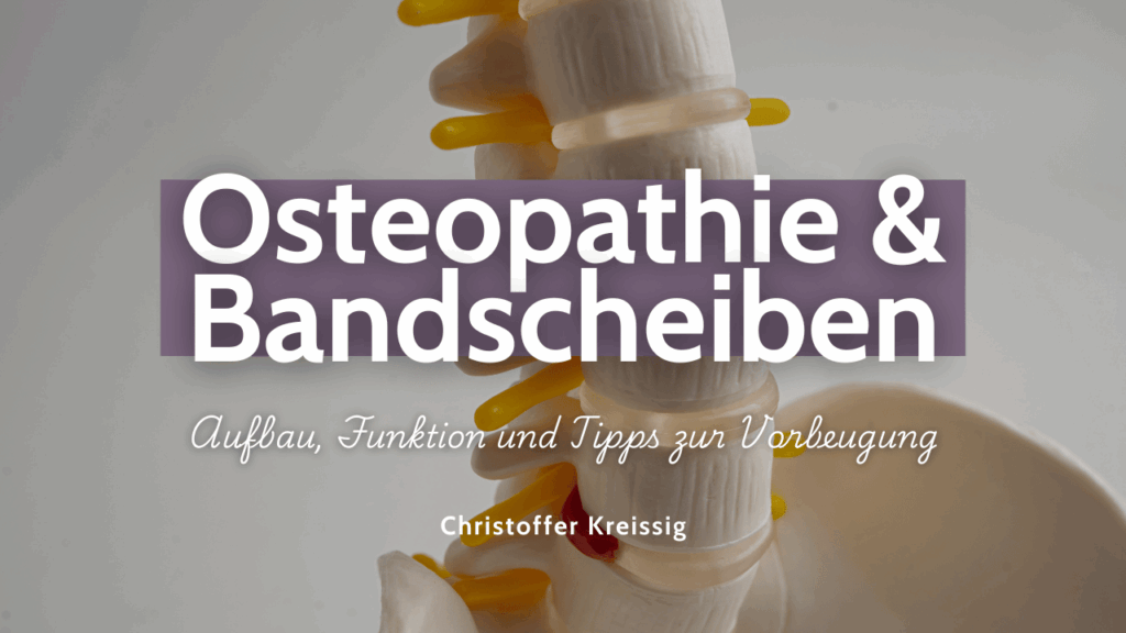 Osteopathie & Bandscheiben- Aufbau, Funktion und Tipps zur Vorbeugung - Christoffer Kreissig